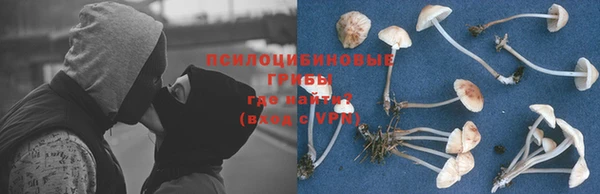 первитин Пролетарск