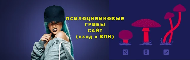 бошки Покачи