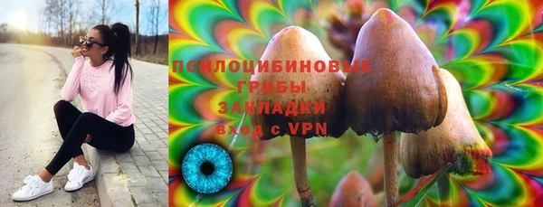 первитин Пролетарск