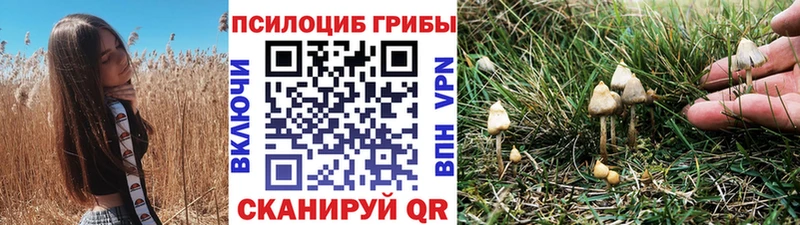 Галлюциногенные грибы ЛСД  Купить закладки  Тогучин 